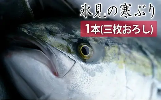 【先行予約】【期間限定】氷見の寒ぶり一本（三枚おろし）真空パック【ひみ水産】※配送エリア限定※
