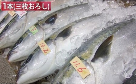 【先行予約】ひみ寒ぶり 1本プラン 【三枚おろし】 ※配送エリア限定　