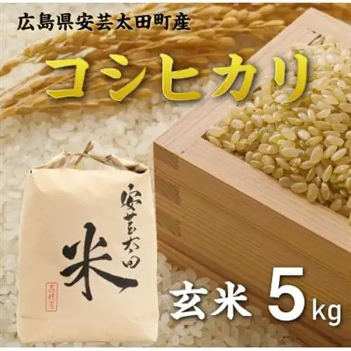 【令和8年産】コシヒカリ　玄米5kg【1443652】
