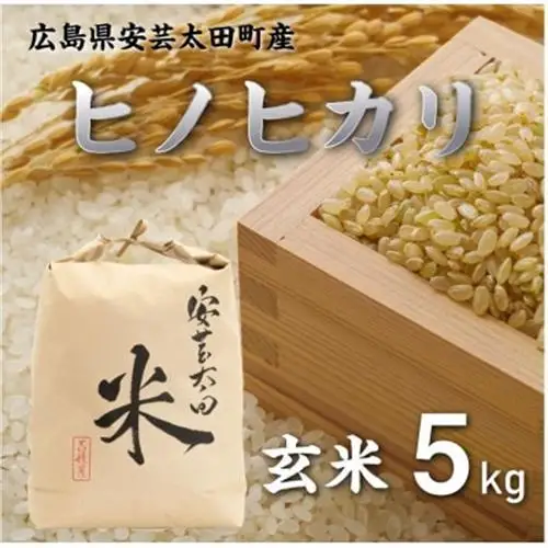【令和8年産】ヒノヒカリ　玄米5kg【1443670】