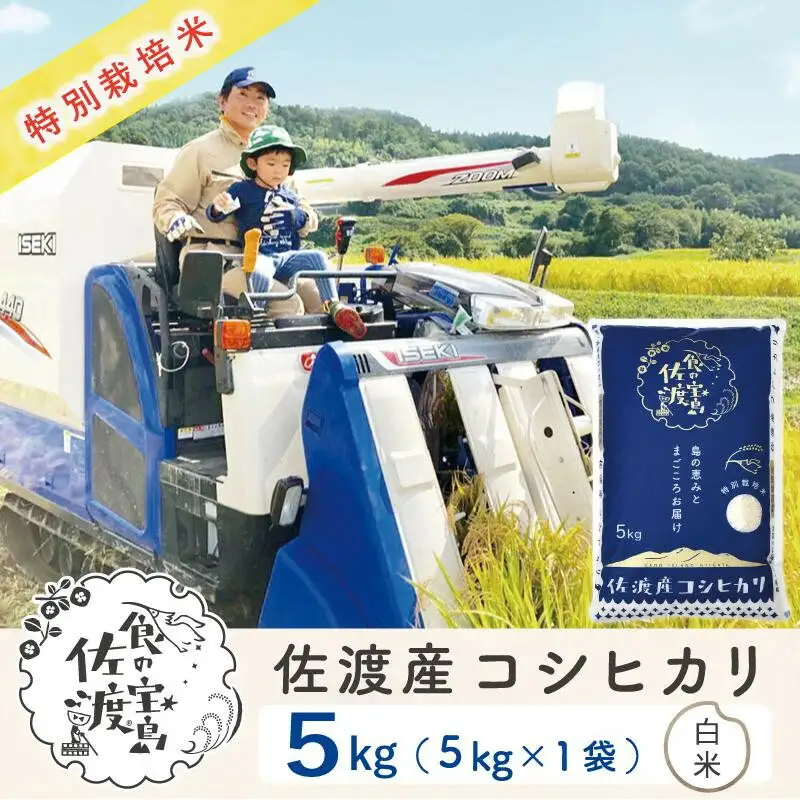 佐渡島産コシヒカリ 白米5kg 特別栽培米 農家直送