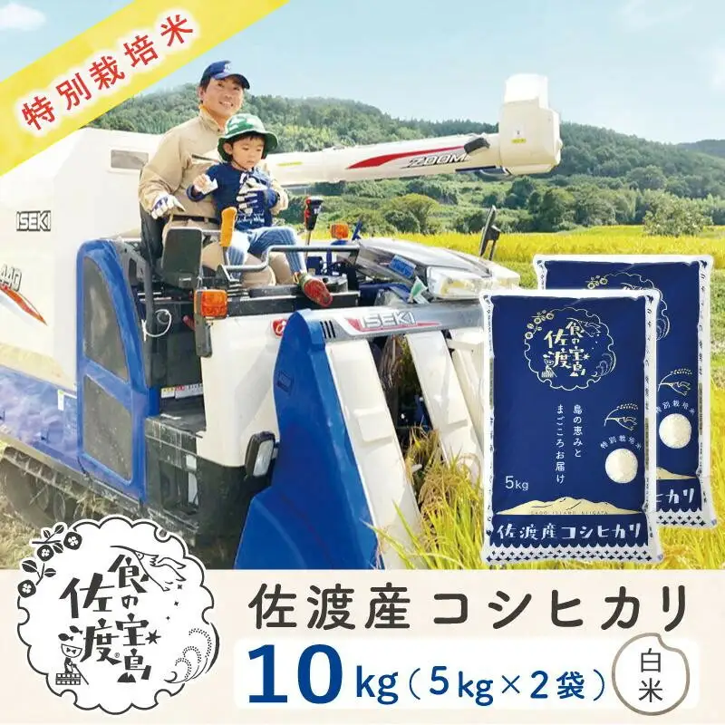 佐渡島産コシヒカリ 白米10kg（5kg×2袋） 特別栽培米 農家直送
