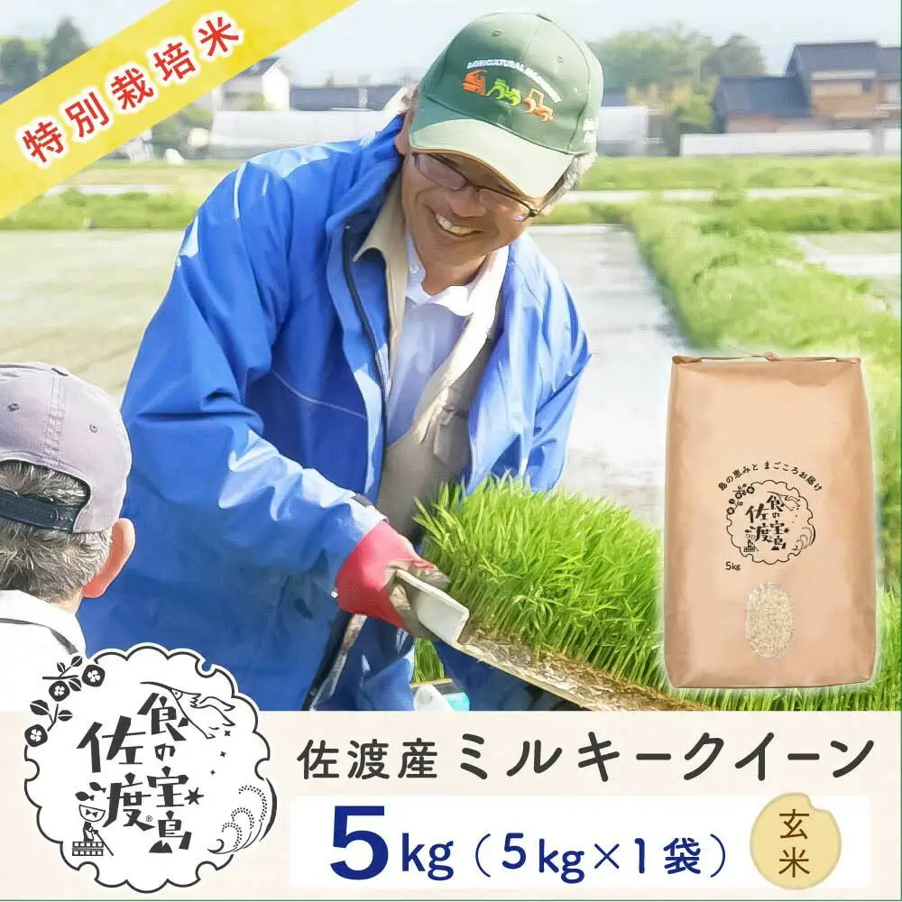 佐渡島産ミルキークイーン 玄米5kg 令和7年産 特別栽培米
