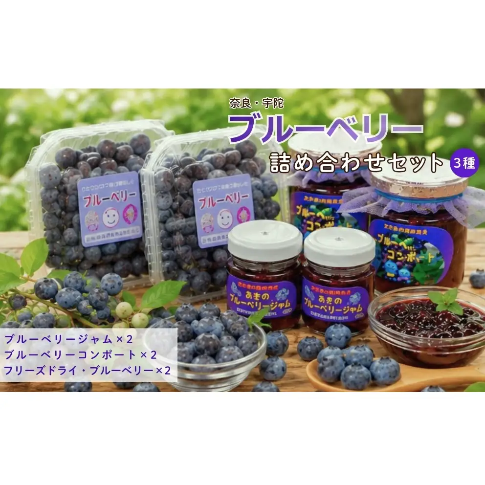 ブルーベリー詰め合わせセット
