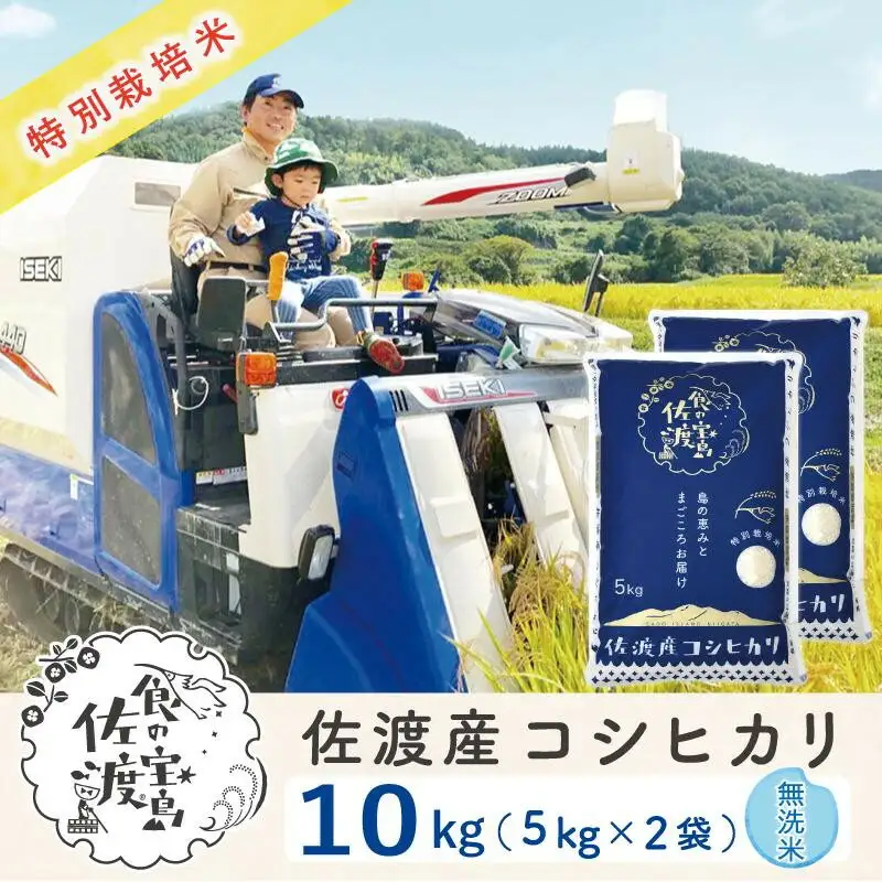 佐渡島産コシヒカリ 無洗米10kg（5kg×2袋） 特別栽培米 農家直送