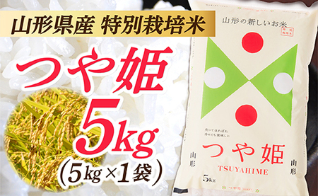 【令和7年産】　山形県産 特別栽培米 つや姫5kg (5㎏×1袋)