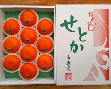 化粧箱 柑橘の大トロ ハウス せとか 厳選 10玉入