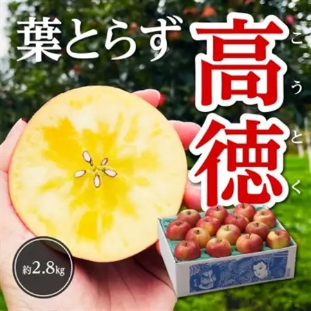 【令和8年11月上旬～発送】今年もお届け。味にこだわる生産者から「葉とらずこうとく」2.8kg_果物・フルーツ りんご  リンゴ 林檎_【配送不可地域：離島】【1124030】