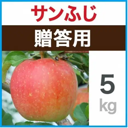 贈答用　サンふじ　約5kg_果物・フルーツ りんご  リンゴ 林檎_【1440029】