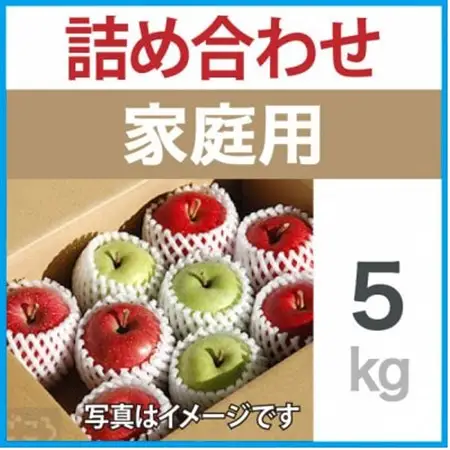 家庭用　りんご　ミックスおまかせ　約5kg_果物・フルーツ りんご  リンゴ 林檎_【1440031】