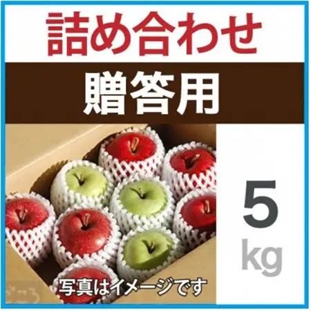 贈答用　りんご　ミックスおまかせ　約5kg_果物・フルーツ りんご  リンゴ 林檎_【1440033】