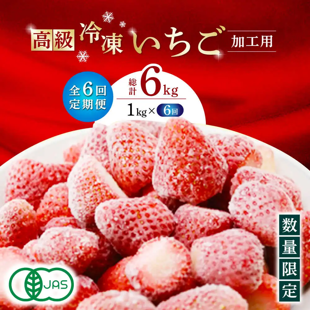 【6回定期便】高級 冷凍  いちご 加工用 約1kg（約500g×2袋）【伊藤農園】  果物 フルーツ イチゴ いちご 苺 熊本県 特産品 オーガニック 有機 恋みのり 冷凍 [ZBB016]