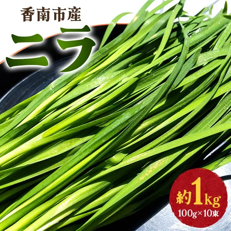 ニラ 1kg 生産量日本一 ニラ  on-0010
