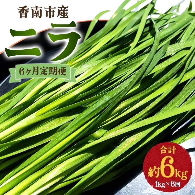 ニラ 1kg 定期便 6回 ニラ Won-0016