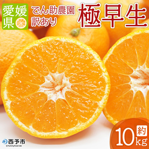でん助農園の温州みかん（極早生）訳あり 約10kg MDN0010
