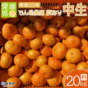 でん助農園の温州みかん（中生・南柑20号） 訳あり 20kg MDN0012