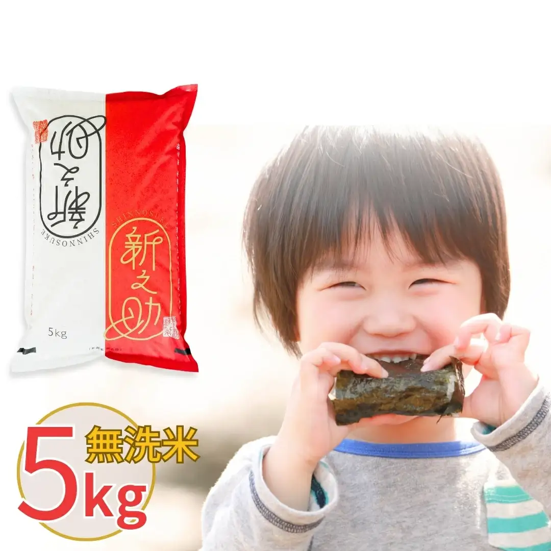 【令和7年産米】新之助 無洗米 5kg 株式会社白熊[010S371]