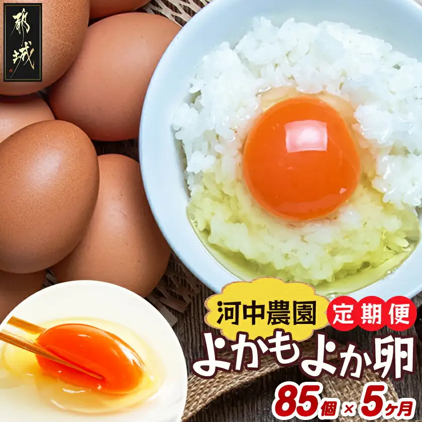 よかもよか卵85個の定期便(5ヶ月)〔T85-5-29-010-85〕_(都城市) 卵 定期便 Mサイズ こだわりの卵