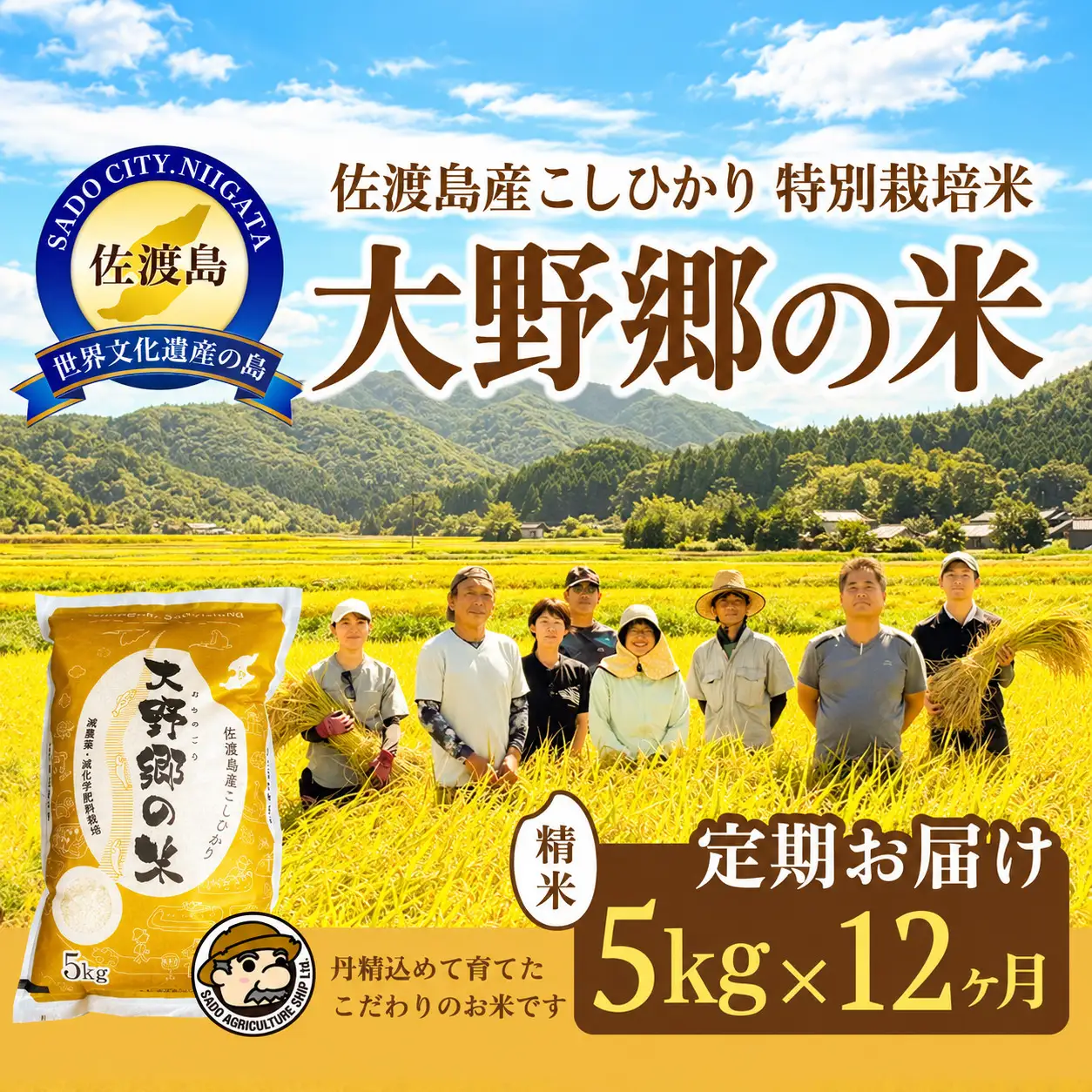 【定期便 12回 】コシヒカリ 精米 5kg 計60キロ | 新潟県 佐渡市 コシヒカリ