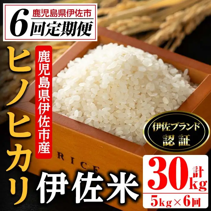 isa499 【定期便・全6回(連続)】伊佐米 ヒノヒカリ＜計30kg・5kg×全6回＞ 鹿児島 国産 伊佐米 お米 米 こめ コメ ひのひかり 白米 精米 ごはん ご飯 定期便【725】