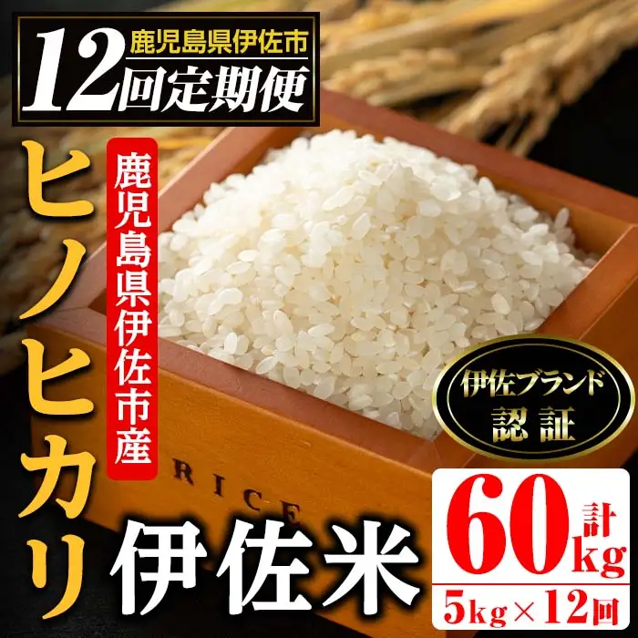 isa500 【定期便・全12回(連続)】伊佐米 ヒノヒカリ＜計60kg・5kg×全12回＞ 鹿児島 国産 伊佐米 お米 米 こめ コメ ひのひかり 白米 精米 ごはん ご飯 定期便【725】