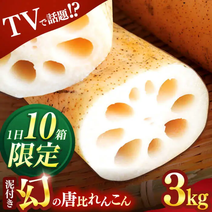 幻の唐比れんこん 3kg  AHCA003 れんこん