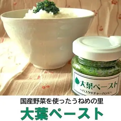 国産野菜を使ったうねめの里 大葉ペースト 惣菜 
