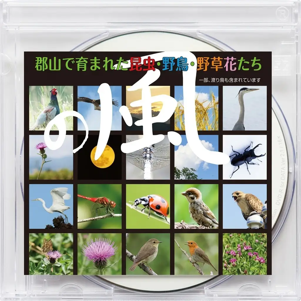 デジタル写真素材 「の風」 本 DVD 