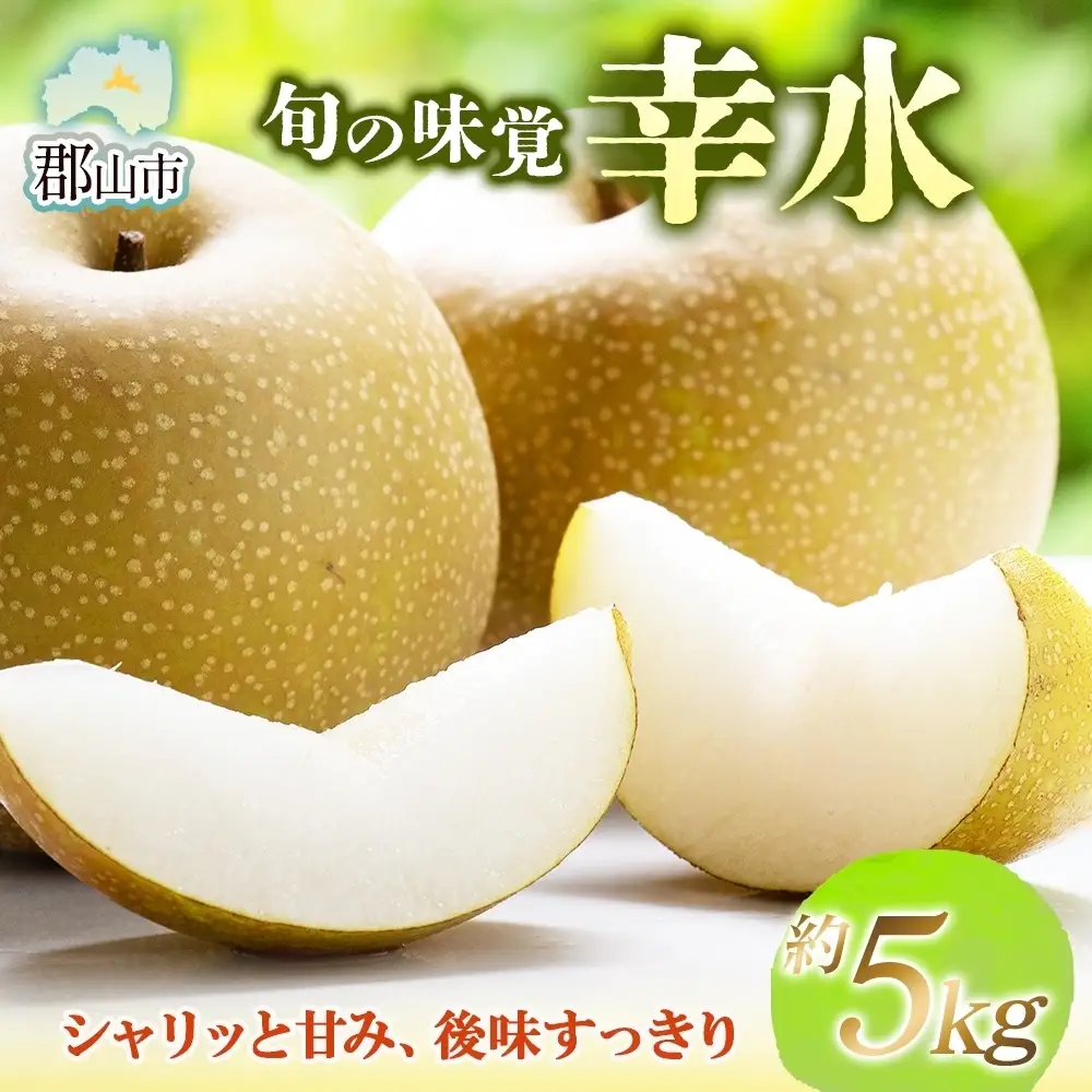 梨 幸水 約5kg フルーツ 果物 福島 梨 なし ナシ 