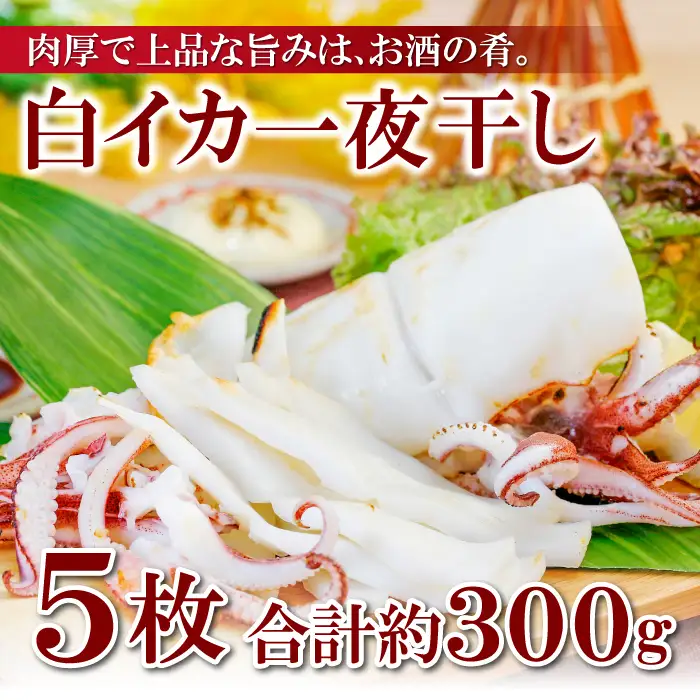 刺身より美味しい！白いか一夜干　5枚【いか 一夜干し 白いか 干物 60～80g 5枚 一夜干 ケンサキイカ 剣先イカ 真イカ 肉厚 贅沢 おつまみ お酒の肴 おやつ 贈答 ギフト 冷凍 父の日 母の日】