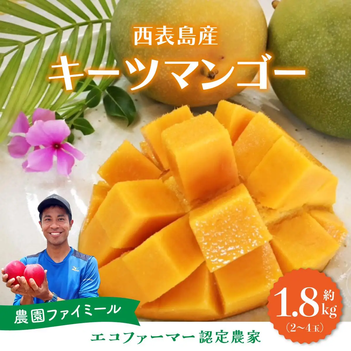 マンゴー 約1.8kg 2～4玉 希少品種 