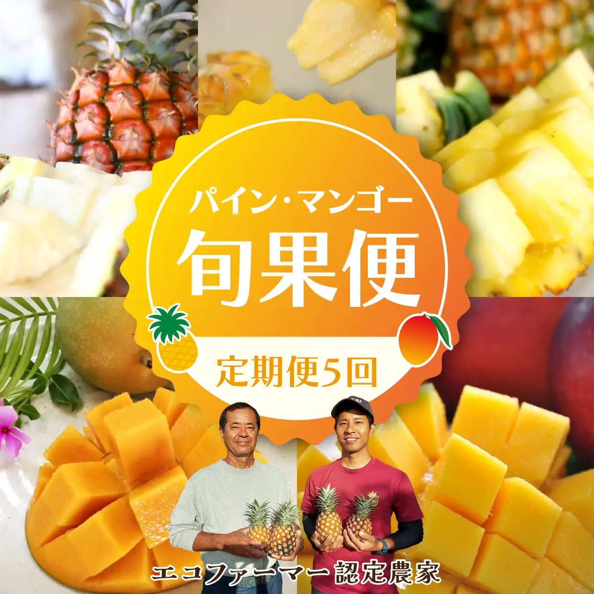 定期便 5回 パイナップル マンゴー 