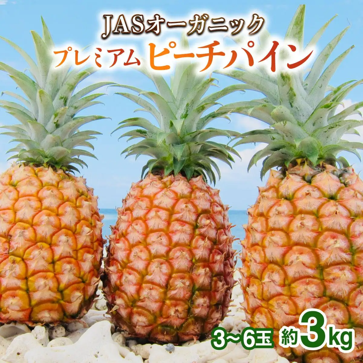  【2027年先行予約】プレミアムピーチパイン 約3kg