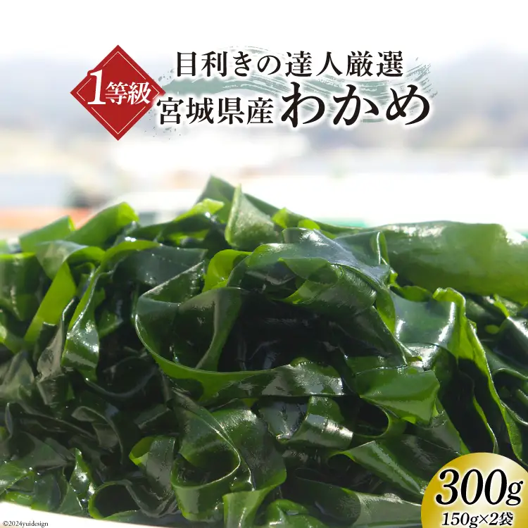 1等級 塩蔵 肉厚 わかめ 150g×2 