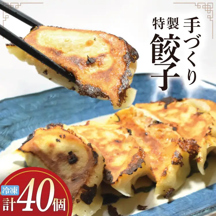 餃子 手づくり 特製餃子(20個入りx2p) 