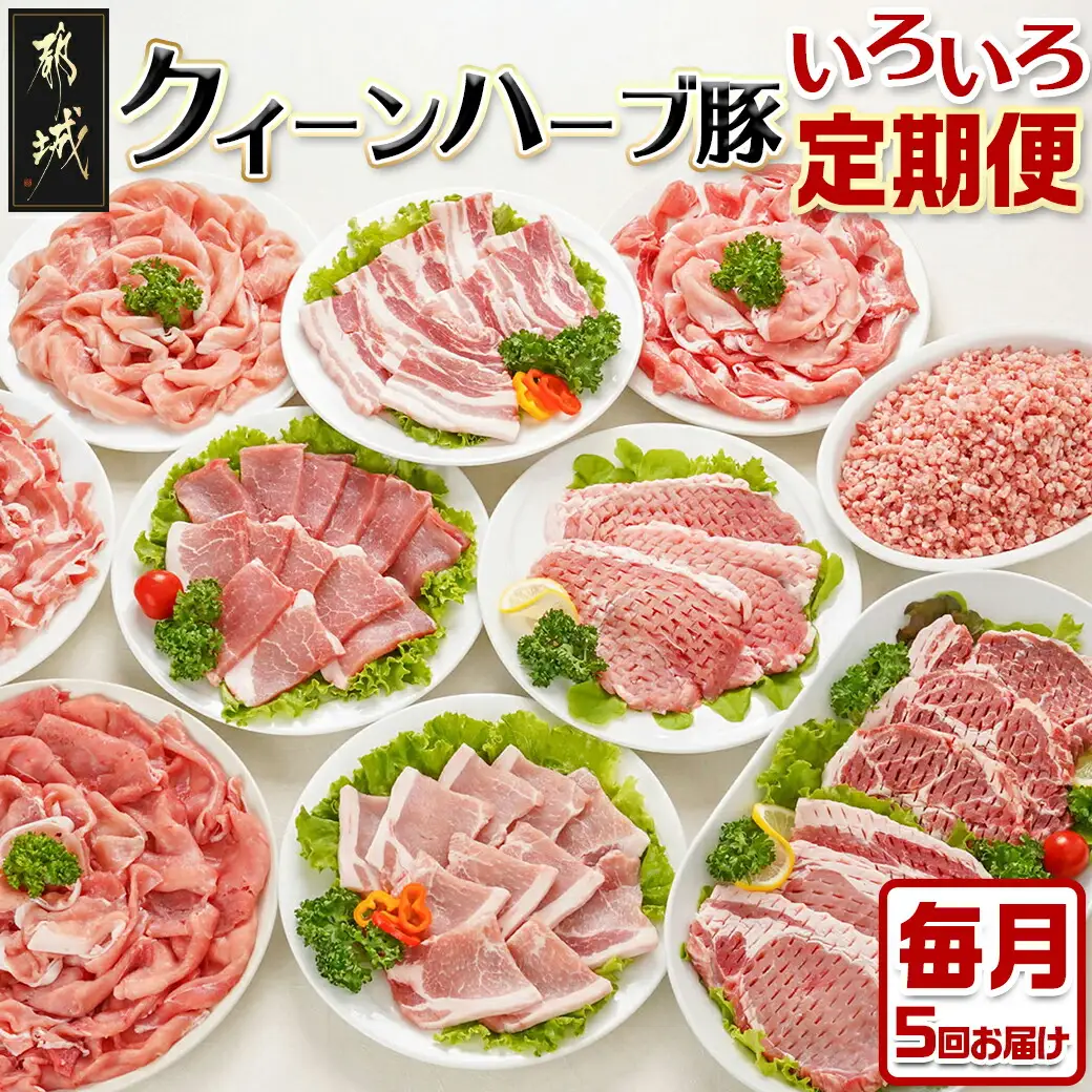 「クイーンハーブ豚」のいろいろ定期便(5ヶ月)〔TAA5-2901〕_(都城市) ブランドポーク しゃぶしゃぶスライス ミンチ バラ焼肉 肩ロース焼肉 とんかつ 生姜焼き 肉巻き ミルフィーユカツ 定期便