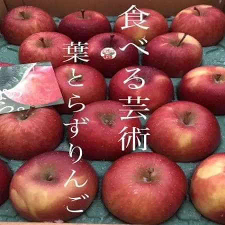 園主一押し!味をとことん突き詰めたりんご　葉とらずサンふじ　贈答用　約5kg　蜜入り期待大!_果物・フルーツ りんご  リンゴ 林檎_【1342650】