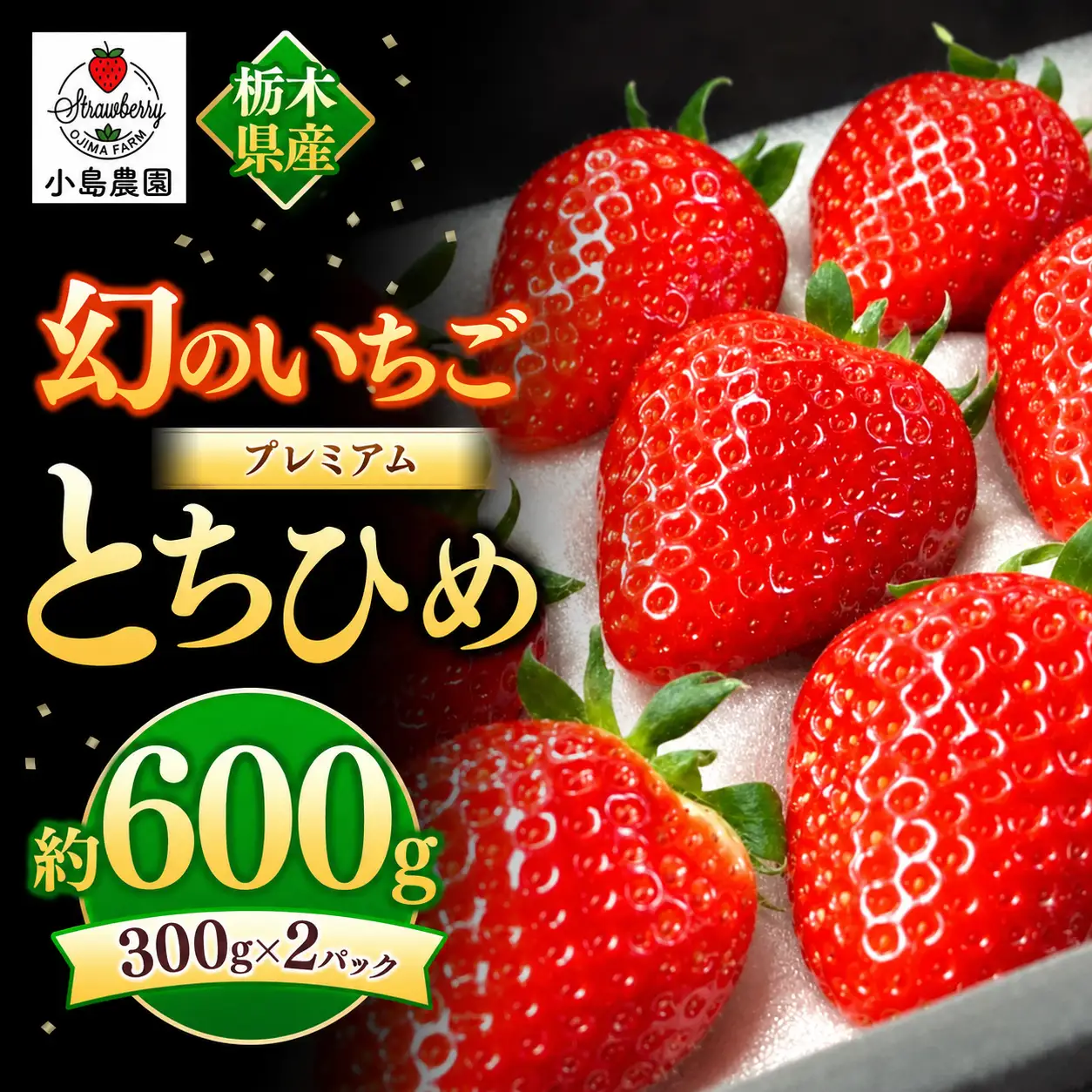 【2027年先行予約】幻のプレミアムいちご とちひめ 600g