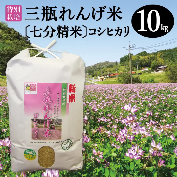 〈七分精米〉特別栽培 三瓶れんげ米 コシヒカリ 10kg【令和6年産 お米 こしひかり 10kg 2024年産 特別栽培米 米 おこめ こめ 七分精米 1等米 無化学窒素肥料 減農薬米】