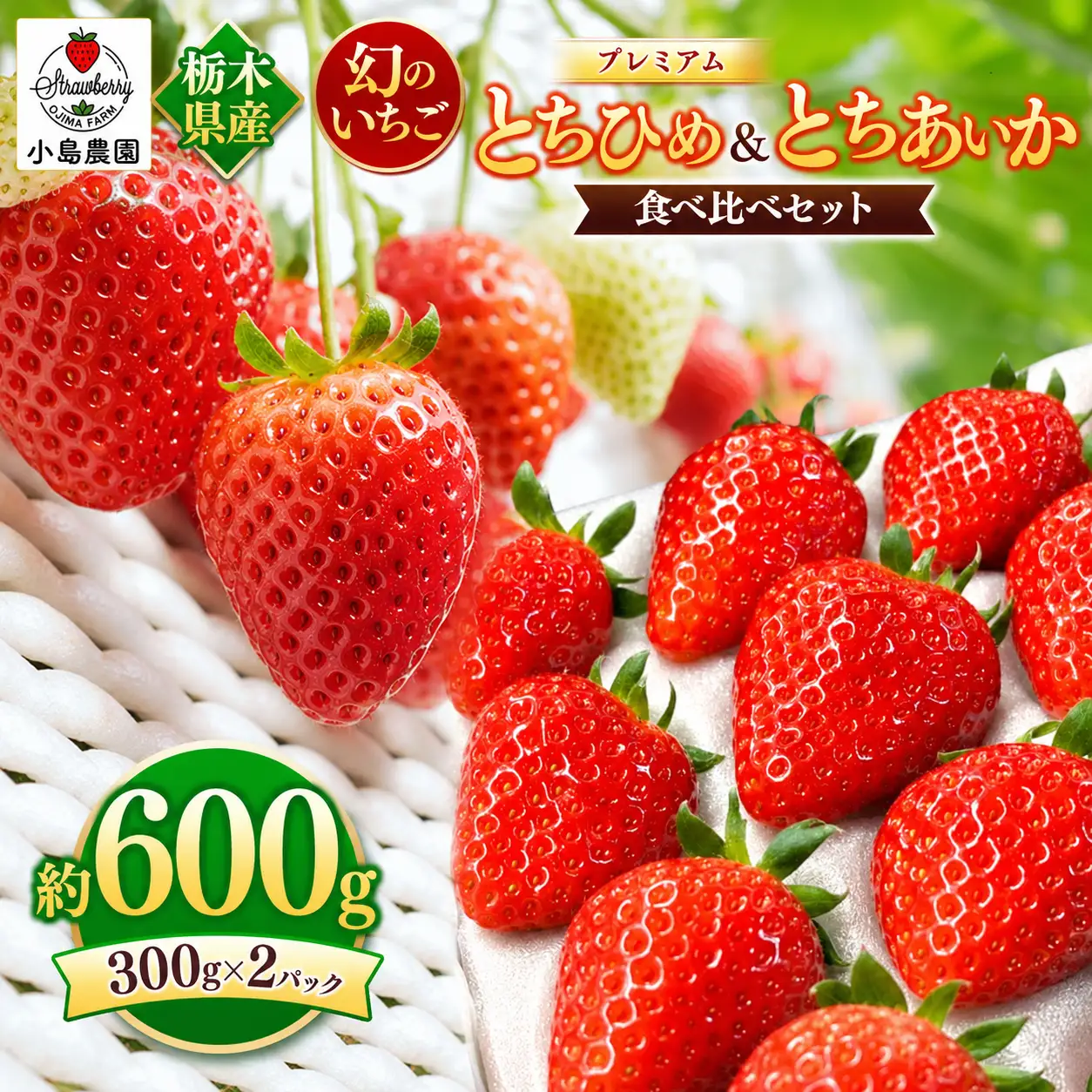【2027年先行予約】とちひめ とちあいか 食べ比べ 600g