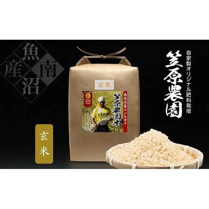 【定期便】【令和7年】南魚沼産 笠原農園米 コシヒカリ玄米【5kg×全６回】　|  玄米
