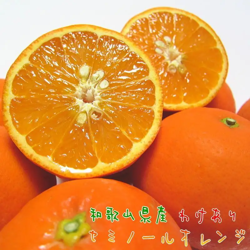 有田育ちの セミノールオレンジ (ご家庭用) 約7.5kg［先行予約・2027年4月～発送］［MS57］