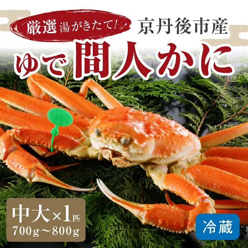 かに卸問屋がお届け・自社釜ゆで！幻のゆで間人ガニ 700ｇ～800ｇ 中大サイズ （1月～3月発送）／北畿水産 かに
