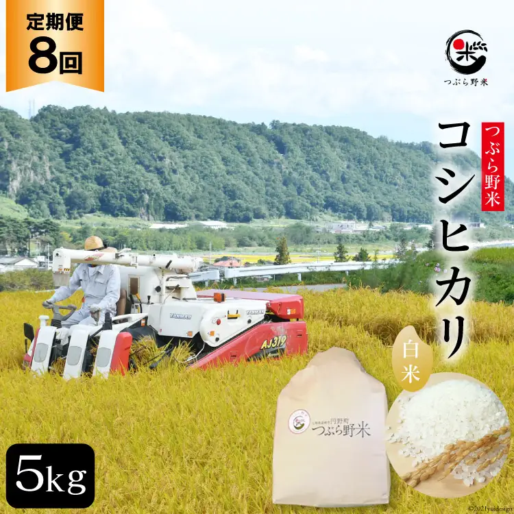 米 令和8年 8回 定期便 つぶら野米 コシヒカリ 白米 5kg×8回 総計40kg