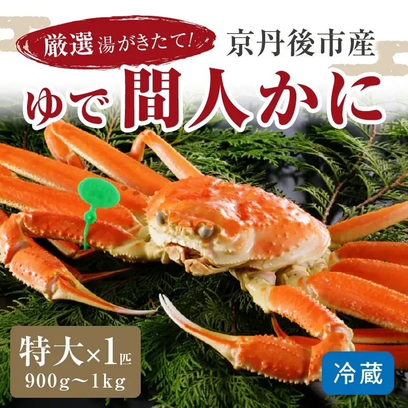 かに卸問屋がお届け・自社釜ゆで！幻のゆで間人ガニ 900ｇ～1ｋｇ 特大サイズ（1月～3月発送）／北畿水産 かに