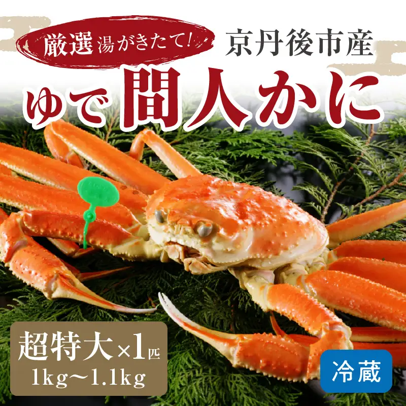 かに卸問屋がお届け・自社釜ゆで！幻のゆで間人ガニ 1ｋｇ～1.1ｋｇ超 特大サイズ（1月～3月発送）／北畿水産 かに