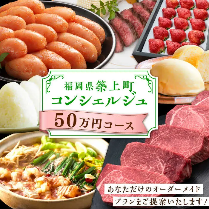 【あとから選べる】 築上町 50万円 定期便 [ABZY001] 【あとから選べる】
