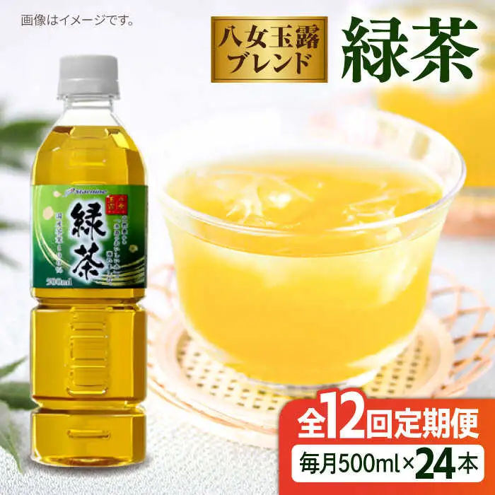【全12回定期便】八女 玉露入り 緑茶 500ml × 24本  糸島市 / スターナイン お茶 ペットボトル [ARM017]