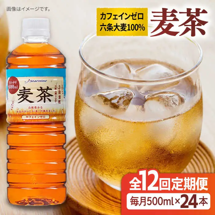 【全12回定期便】麦茶 600ml × 24本  糸島市 / スターナイン お茶 ペットボトル [ARM020]