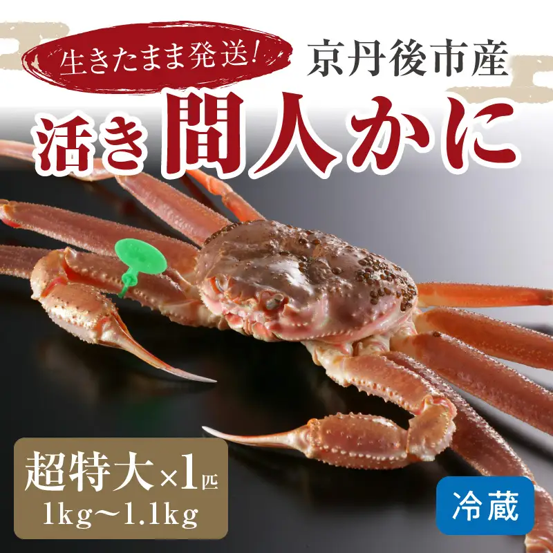 かに卸し問屋がお届け・浜競り厳選！幻の活間人ガニ 1ｋｇ～1.1ｋｇ 超特大サイズ（1月～3月発送）／北畿水産 かに